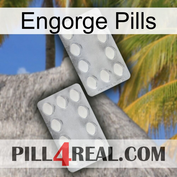 Engorge Pills 17.jpg